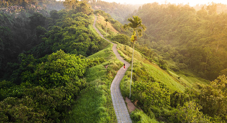 CAMPUHAN RIDGE WALK