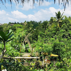 Full Day Tour In Tabanan - Image 4