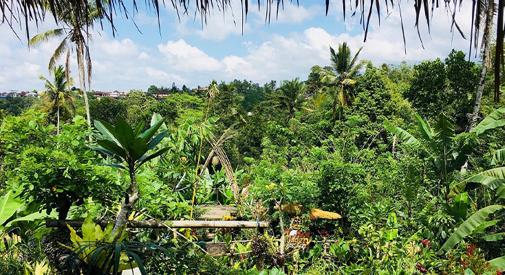 HIDDEN GARDEN AGRICULTURE