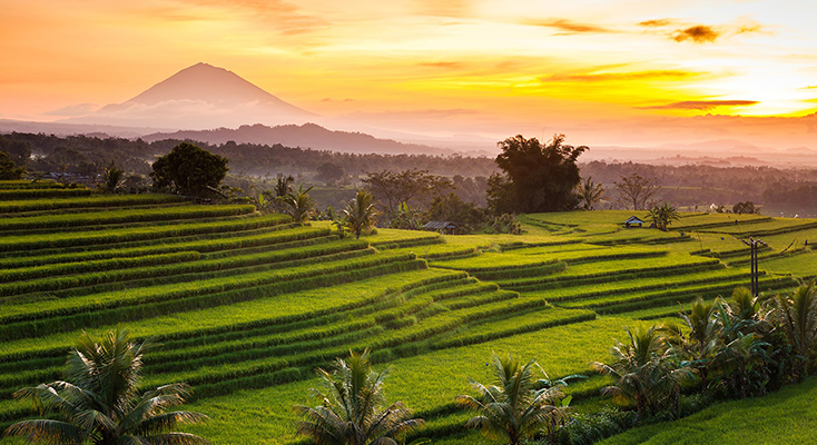 JATILUWIH RICE TERRACE