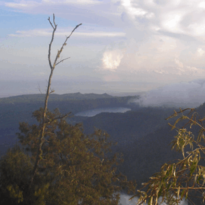 Full Day Tour In Tabanan - Image 5
