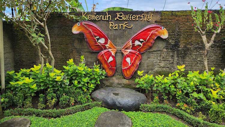 Kemenuh Butterfly Park