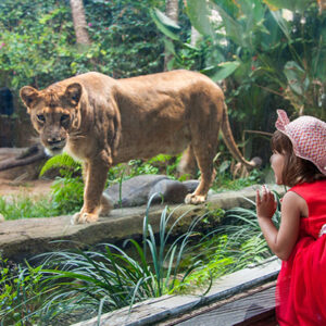 Full Day Tour In Sukawati (B) - Image 7