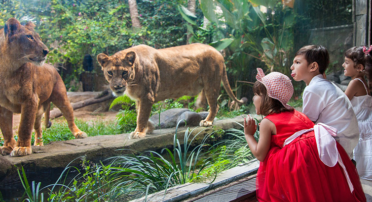 bali zoo