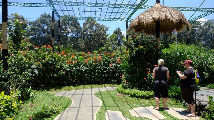 Kemenuh Butterfly Park