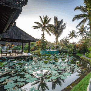 Villa Taman Di Blayu - Tabanan - Image 20