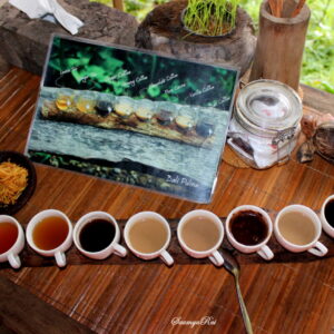 bali coffee plantation