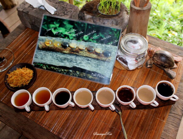 bali coffee plantation