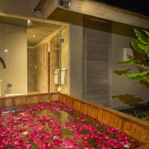 Jadine Bali Villa - Canggu - Image 35