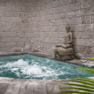 Jadine Bali Villa - Canggu - Image 3