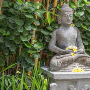 Villa Balidamai - Canggu - Image 22