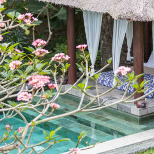 Villa Balidamai - Canggu - Image 44
