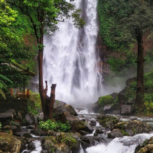 Full Day Tour In Buleleng (B) - Image 2