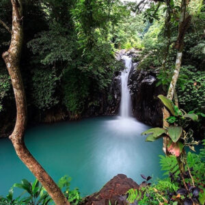 Full Day Tour In Buleleng (B) - Image 3