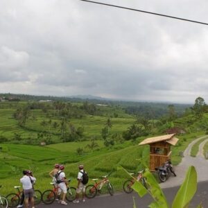 Full Day Tour in Kintamani - Image 6