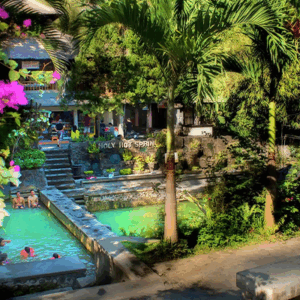 Full Day Tour In Buleleng/lovina (A) - Image 5