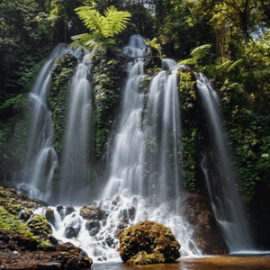 Full Day Tour in Bedugul (B) - Image 3