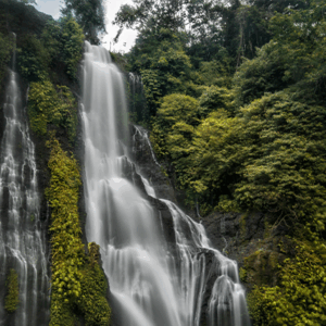 Full Day Tour in Bedugul (B) - Image 5