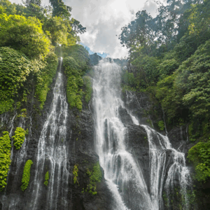Full Day Tour in Bedugul (B) - Image 4