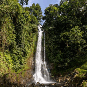 Full Day Tour In Buleleng/lovina (A) - Image 2