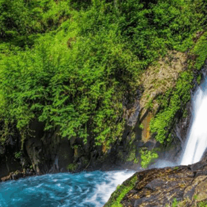 Full Day Tour In Buleleng/lovina (A) - Image 3