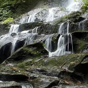 Full Day Tour in Bangli (B) - Image 6