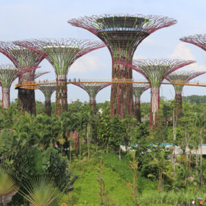 Singapore 3 Days 2 Nights - Image 6