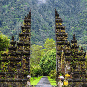 Full Day Tour in Bedugul (A) - Image 2