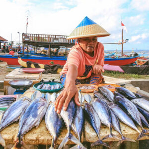 Full Day Tour in Jimbaran - Image 6
