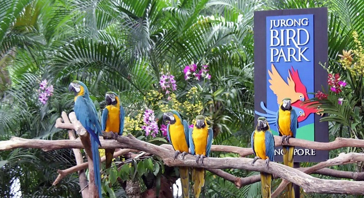 Jurong-Bird-Park