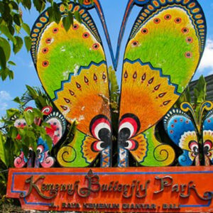 Full Day Tour in Gianyar (A) - Image 5