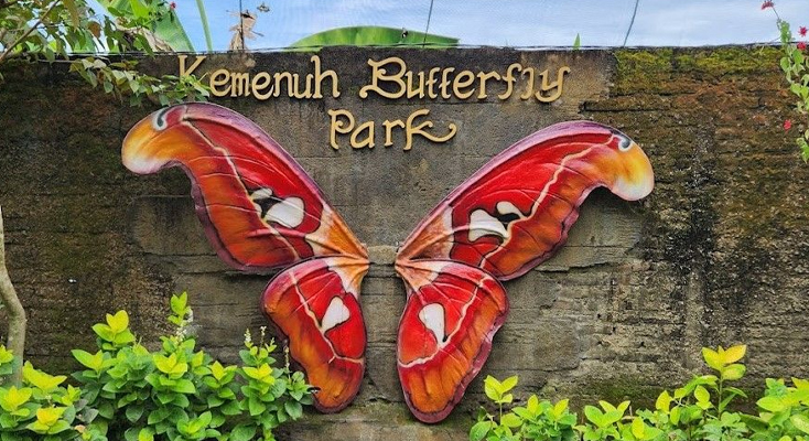 KEMENUH-BUTTERFLY-PARK2