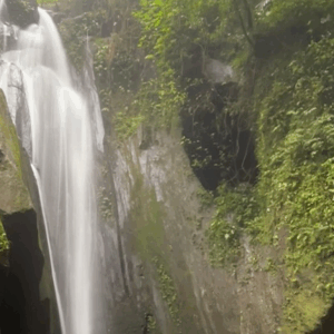 Full Day Tour in Bangli (B) - Image 10