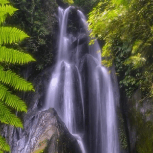 Full Day Tour in Bangli (B) - Image 3