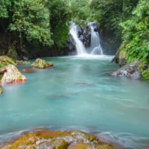 Full Day Tour In Buleleng (B) - Image 4