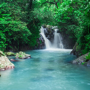 Full Day Tour In Buleleng (B) - Image 5