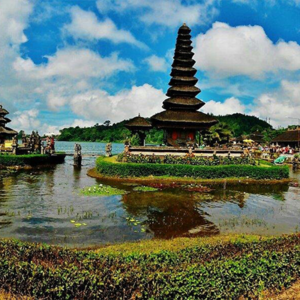 Full Day Tour in Bedugul (A) - Image 5