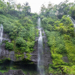 Full Day Tour in Kintamani - Image 3