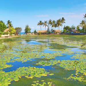 Full Day Tour in Karangasem (A) - Image 3