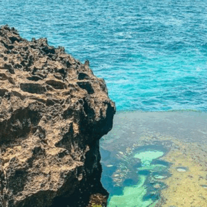 Full Day Trip In Nusa Penida - Image 3
