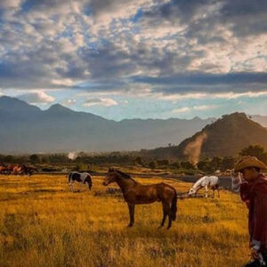 Full Day Tour in Karangasem (B) - Image 5