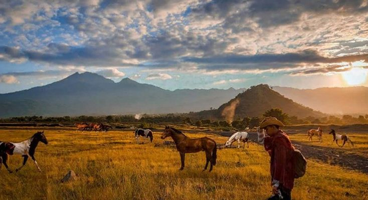 PADANG-SAVANA-TIANYAR