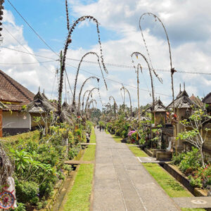 Full Day Tour in Bangli (A) - Image 8