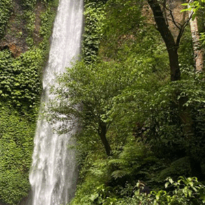 Full Day Tour in Bedugul (B) - Image 9