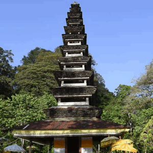 Full Day Tour In Buleleng/lovina (A) - Image 8