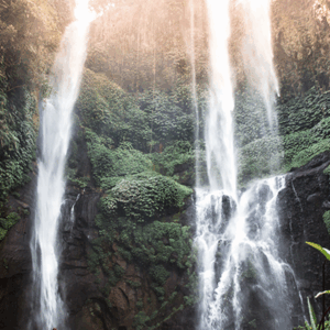 Full Day Tour In Buleleng/lovina (A) - Image 10