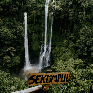 Full Day Tour In Buleleng/lovina (A) - Image 9