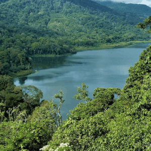 Full Day Tour in Bedugul (B) - Image 13
