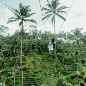 Full Day Tour in Bangli (A) - Image 6