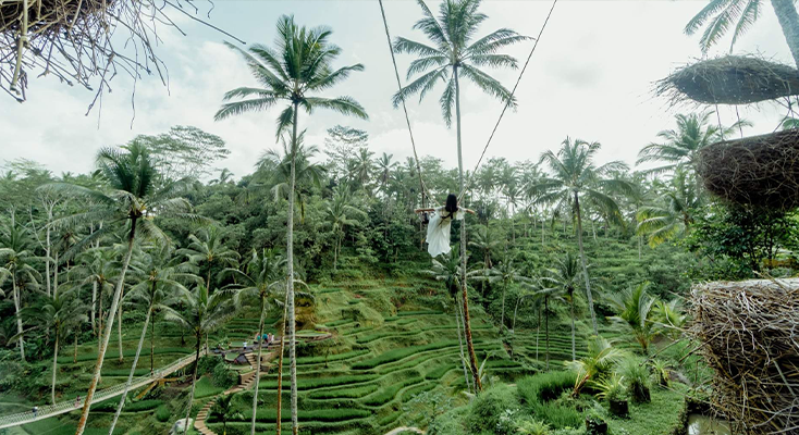 TEGALALANG RICE TERRACE ALAS HARUM-